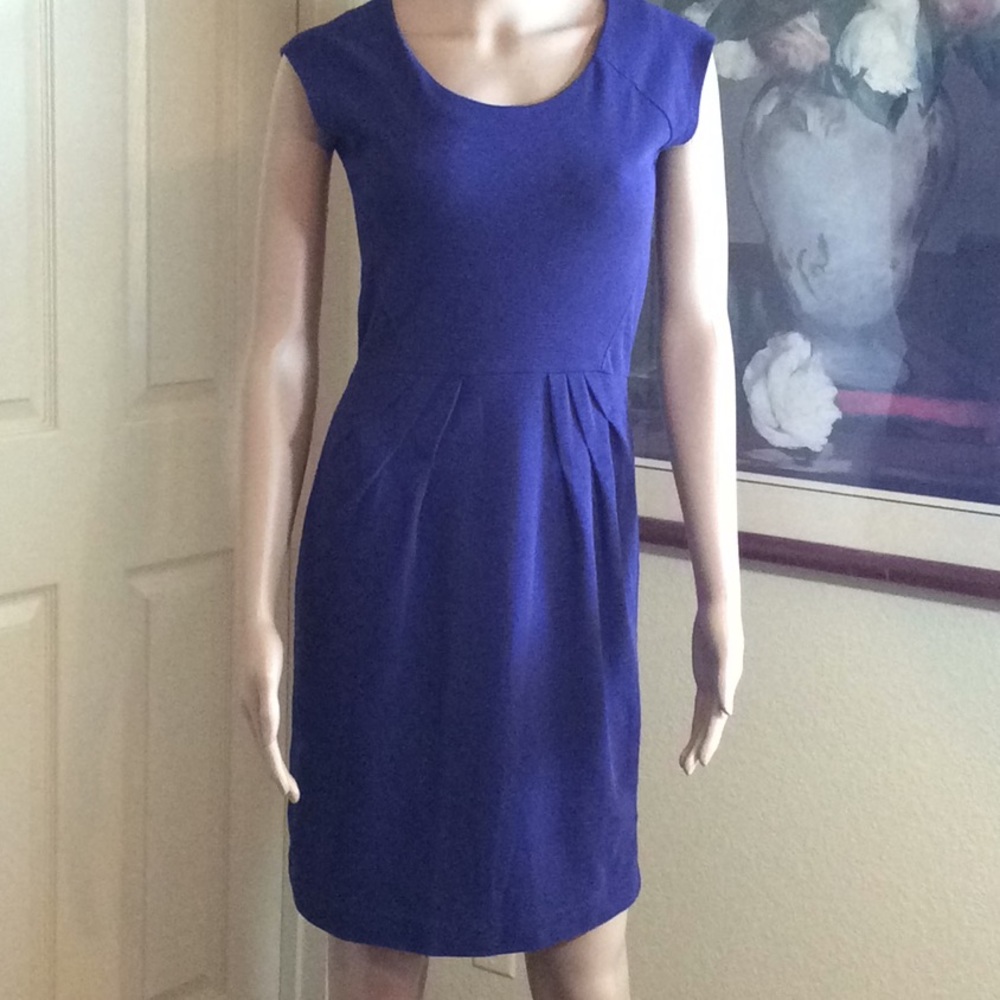 Banana Republic Dress Sz 0